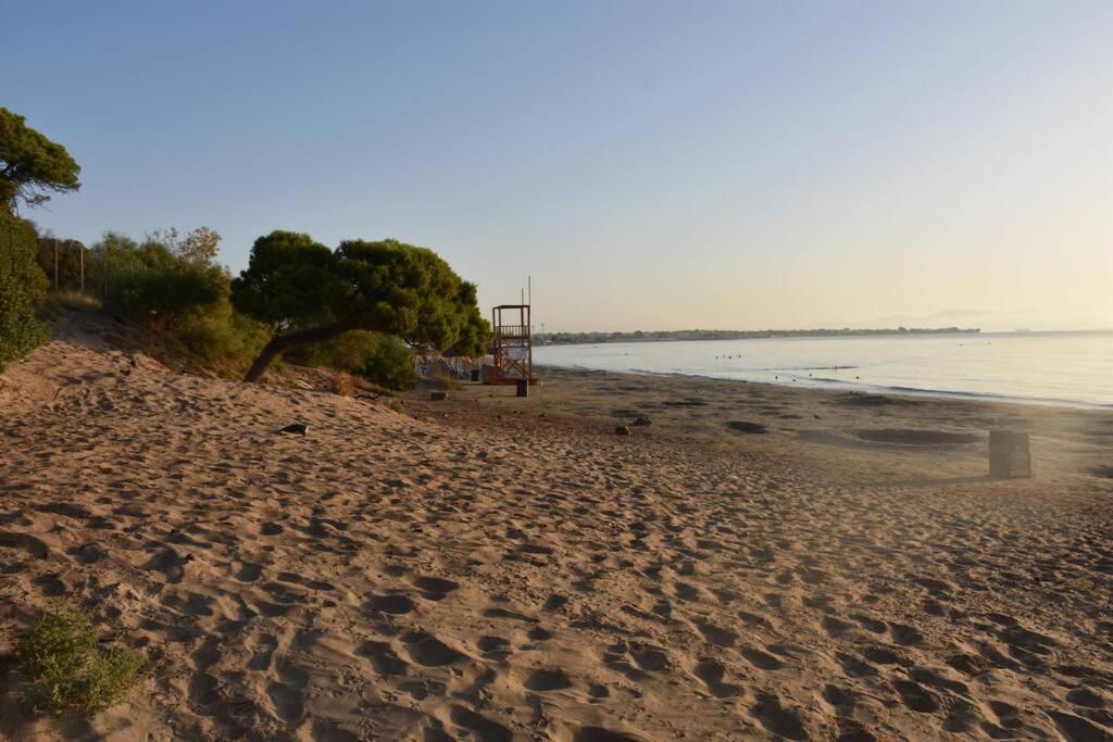 Seashell Apartment -Near The Beach أرتيميدا المظهر الخارجي الصورة